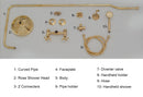 Unlacquered Brass Shower System - Exposed Pipe Rain Shower and Handheld
