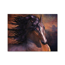 Untamed Canvas