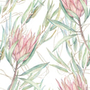 Pink Protea Wallpaper