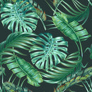 Dark Wallpaper with Monstera Leaves