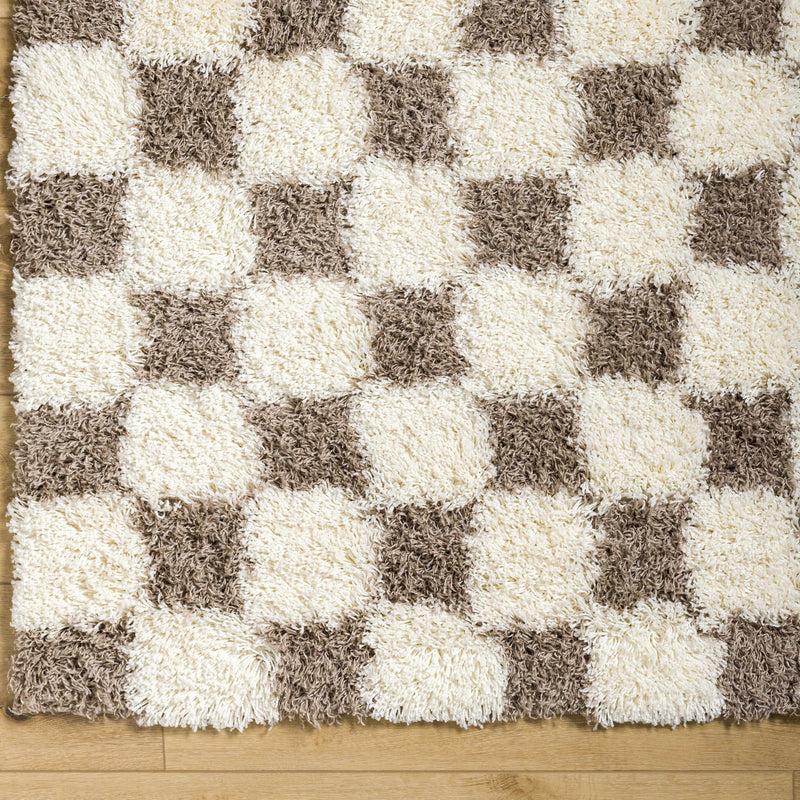 Atira Brown Checkered Area Rug