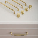 Vang Knob & Pull Bar
