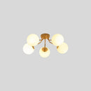 Veylo Ceiling Light