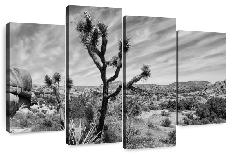 Desert Joshua Tree Wall Art