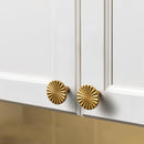 Vibora Knob