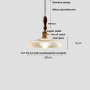 Vintage brass and clear glass led pendant light kitchen hanging lamp