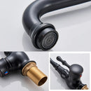 Vintage bronze & black kitchen sink faucet with 360 rotate spout