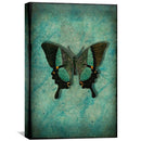 Vintage Butterfly Canvas