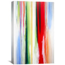 Vivid Visions Canvas