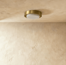 Vora Ceiling Light