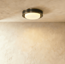 Vora Ceiling Light