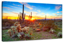 Sonoran Desert Sunset Landscape Wall Art