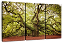 Charleston Angel Oak Tree Wall Art