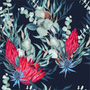 Red Protea Wallpaper