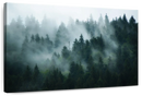 Misty Fir Forest Wall Art