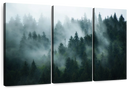 Misty Fir Forest Wall Art