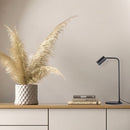 Waitha Table Lamp