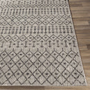 Wallkill Area Rug
