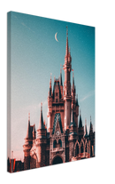 Walt Disney Castle - Print