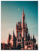 Walt Disney Castle - Print