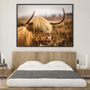 Warm Tones Highland Cow Canvas