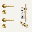 Wenli Handle and Lock