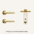 Wenli Handle and Lock