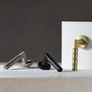 Wenli Handle and Lock