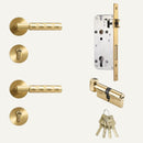 Wenli Handle and Lock