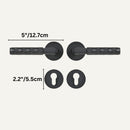 Wenli Handle and Lock