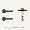 Wenli Handle and Lock