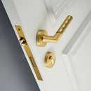 Wenli Handle and Lock
