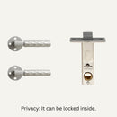Wenli Handle and Lock