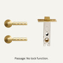 Wenli Handle and Lock
