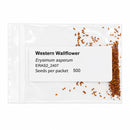 Mini Native Short Pollinator Patch Seed Mix | Prairie Legacy Inc.