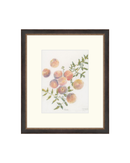 Pastel Peaches