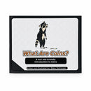What Are Coins? by Blake Teichmeier | Softcover | GreatCents
