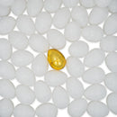 47 White Plastic Easter Eggs + 1 Surprise Golden Egg Set