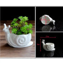 White cartoon snail flower vase ceramic garden succulent pot