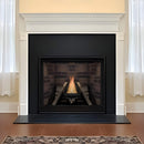 White Mountain Hearth (Empire) Tahoe 36-Inch Clean Face Direct Vent Natural Gas Traditional Premium Fireplace [DVCP36BP30N/70N] (SAK26519)