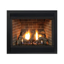 White Mountain Hearth (Empire) Tahoe 48-Inch Propane Gas Direct Vent Premium Fireplace W/ Multi Function Control [DVP48FP91P] (SAK19347)