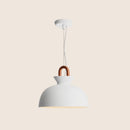Zire Pendant Light