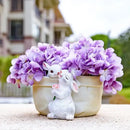 DecorBites™ Bunny Succulent Planter Pot for Garden and Patio Decor