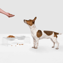 Small Black or White Bowl Feeder