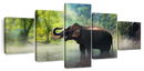 Wild Elephant Wall Art
