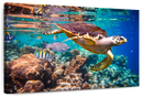 Vivid Sea Life Wall Art