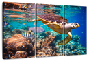 Vivid Sea Life Wall Art