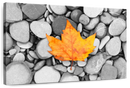 Autumn Leaf Wall Art