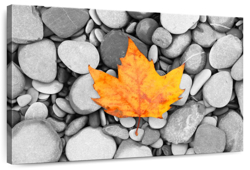 Autumn Leaf Wall Art