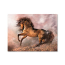 Wild Spirit Canvas